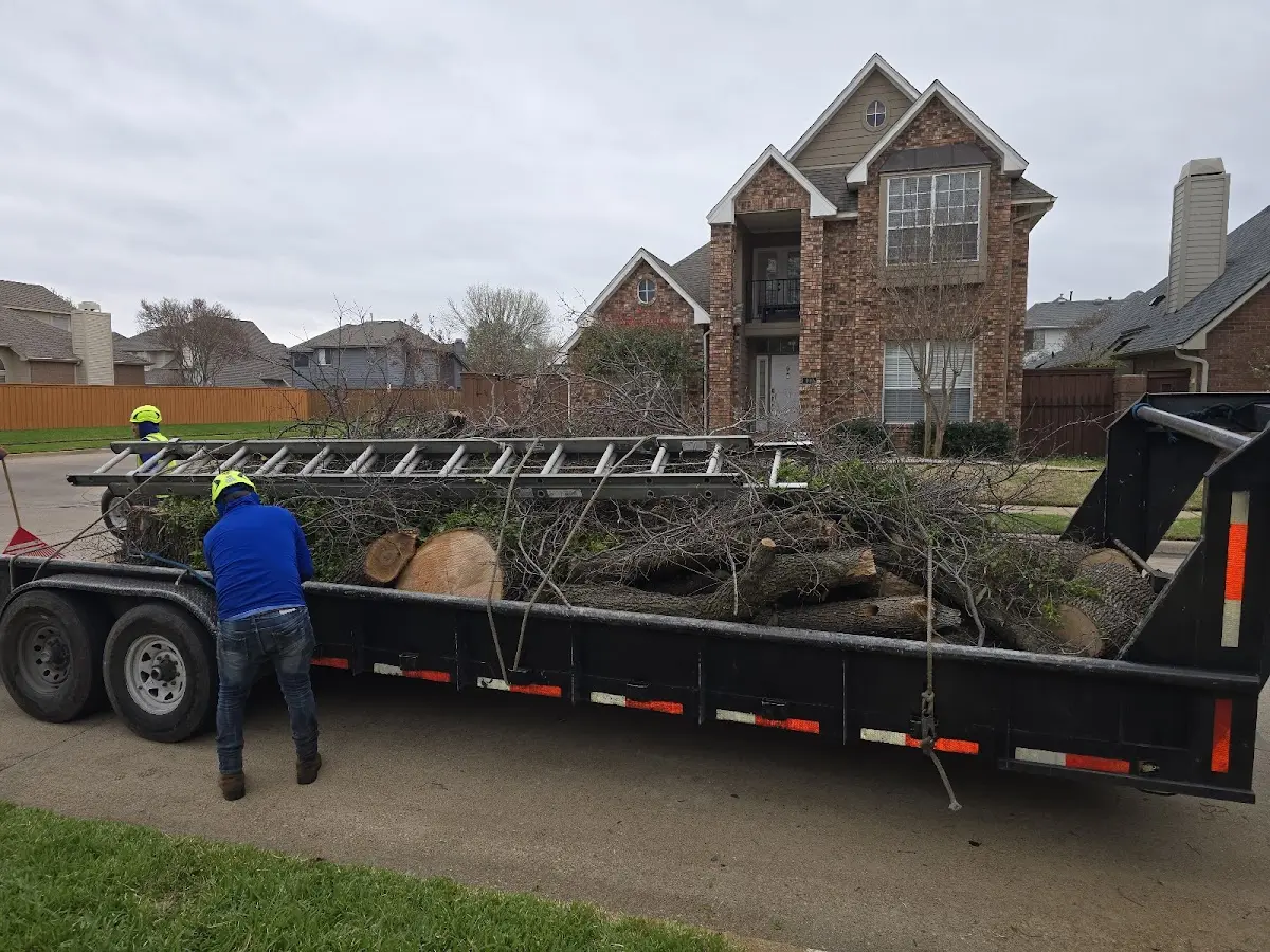 Expert Tree Pest Control with proper safety equipment in Pembine